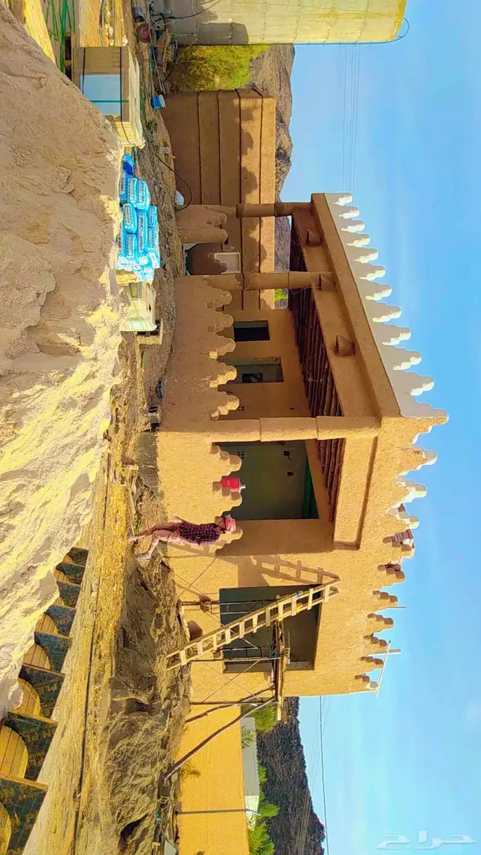 نخيل عربي وواشنطن وتراثيات وأعمال الشبوك والهناجر 12