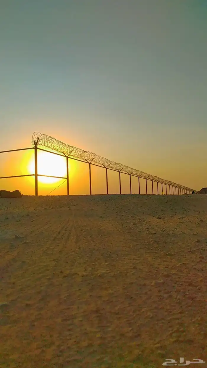 نخيل عربي وواشنطن وتراثيات وأعمال الشبوك والهناجر 4