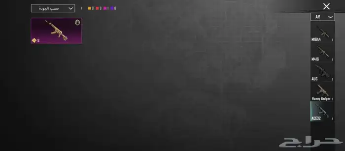 حساب ببجي للبيع 21