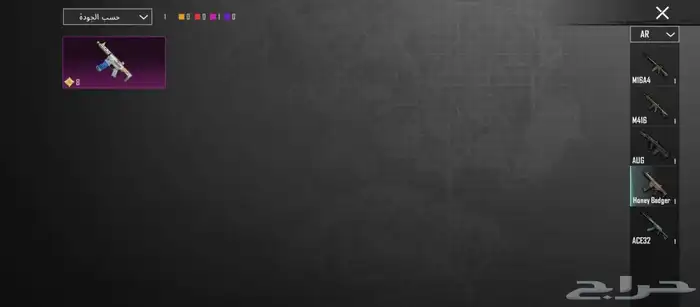 حساب ببجي للبيع 22