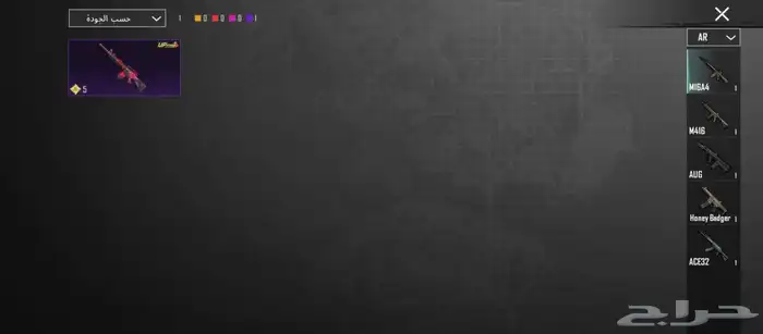 حساب ببجي للبيع 25