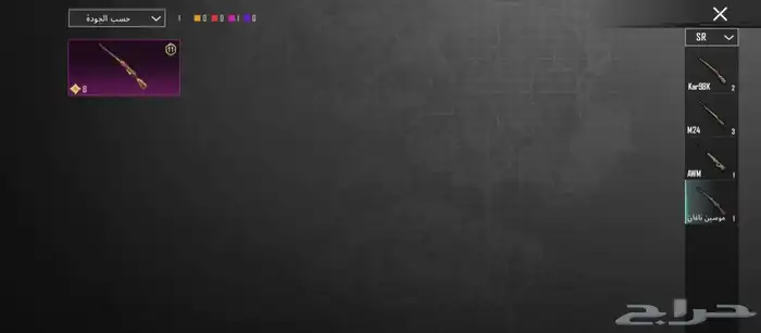 حساب ببجي للبيع 17