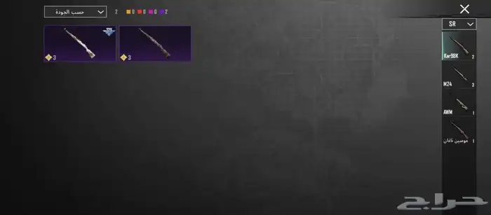 حساب ببجي للبيع 20