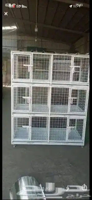 شبك بقلاوة حمام طيور دجاج غنم بط أرانب قطط كلاب 1
