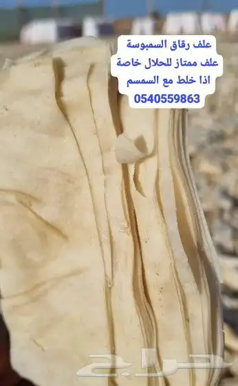 عجين رقاق السمبوسة علف للحلال 0