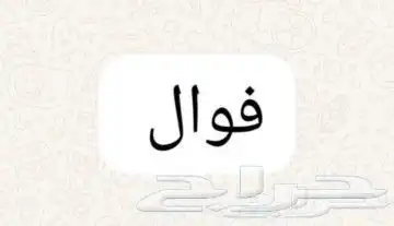 مطلوب ممول فوال 0