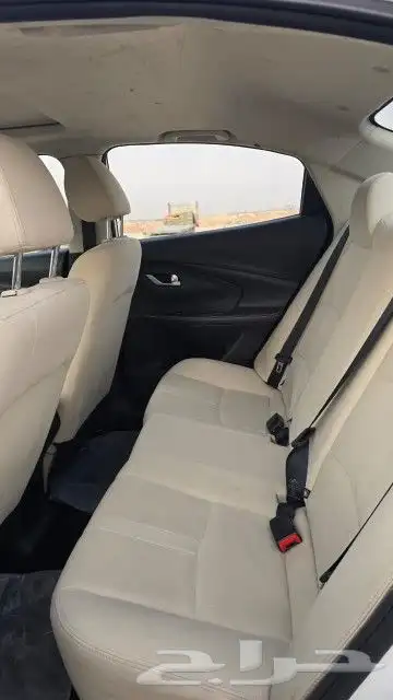 شانجان السفن 2021 14