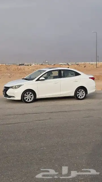 شانجان السفن 2021 4