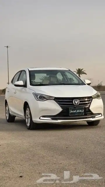 شانجان السفن 2021 5