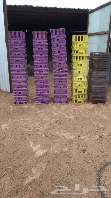 البيع صندوق بلاستيكية عددهن 73 صندوق 3