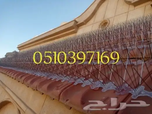 شركة تركيب طارد الحمام بتبوك 15