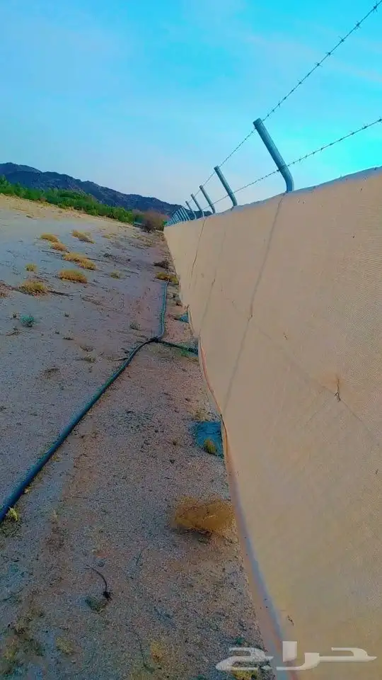 نخيل عربي وواشنطن وتراثيات وأعمال الشبوك والهناجر 6