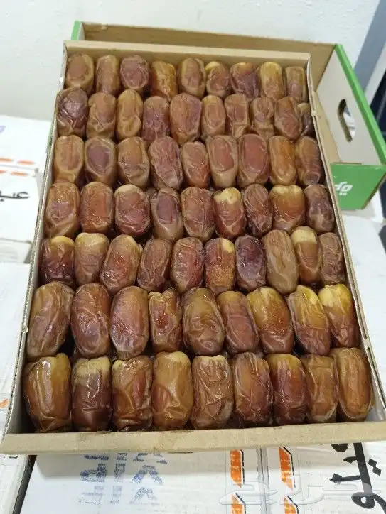 صقعي رطب حبه كبير 3