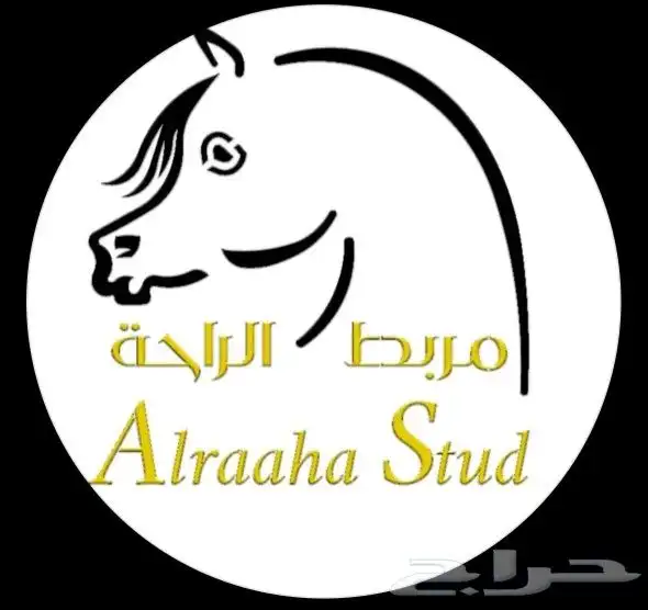 مربط الراحة لايواء الخيل 0