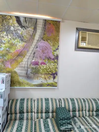 مجلس4ف4 ارضي تقريبا عل كامل الفرفه 3