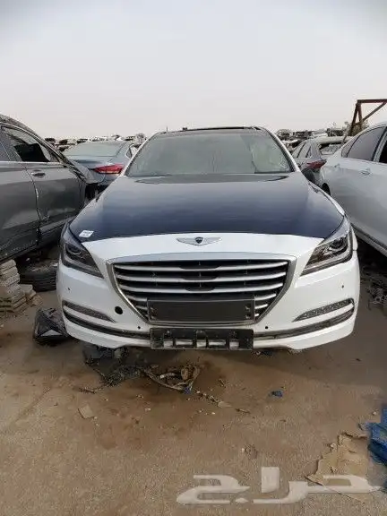 جنسس 2018 7