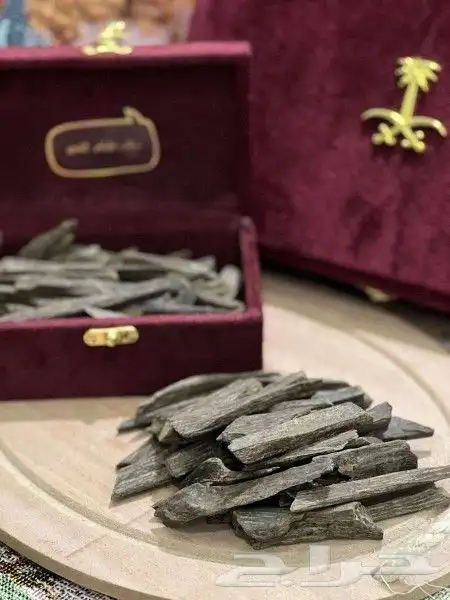 عود مروكي و كلمنتان بسعر منافس 3