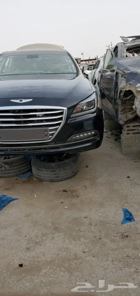 جنسس 2018 0