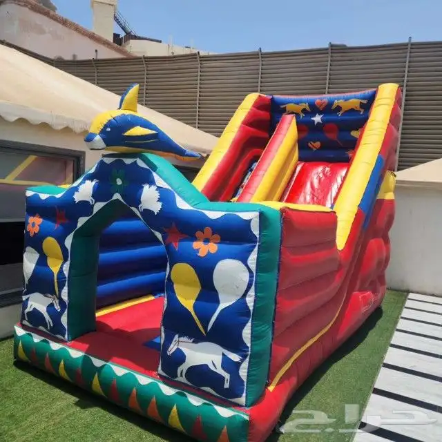 ايجار يومي ملعب صابوني زحليق نطيطات جده 2