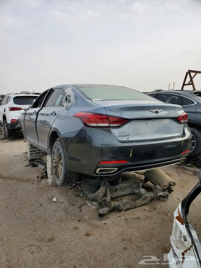 جنسس 2018 8