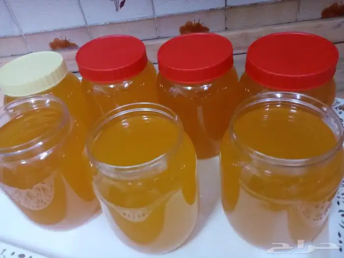 سمن غنم صافي بدون اضافات شغل بيت ومضمون 1