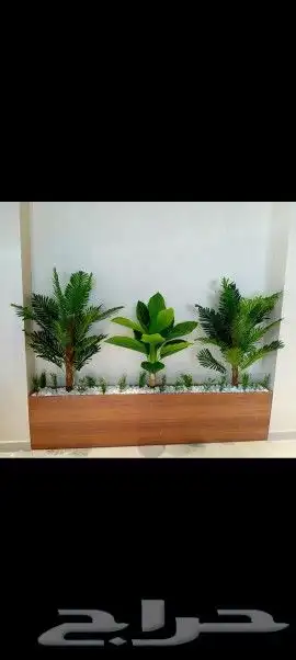 ثيل طبيعي سي 2000فرنسي جميع انواع الاشجار والنخل 4