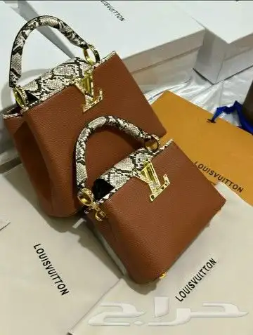 جملة وقطاعي 3