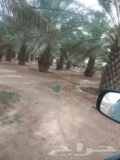 احنا نقوم تركيب جميع انواع الشبوك 9