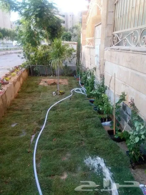 مشتل ربيع المملكة 2
