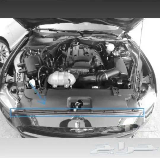 جلدة صدام موستنج 0