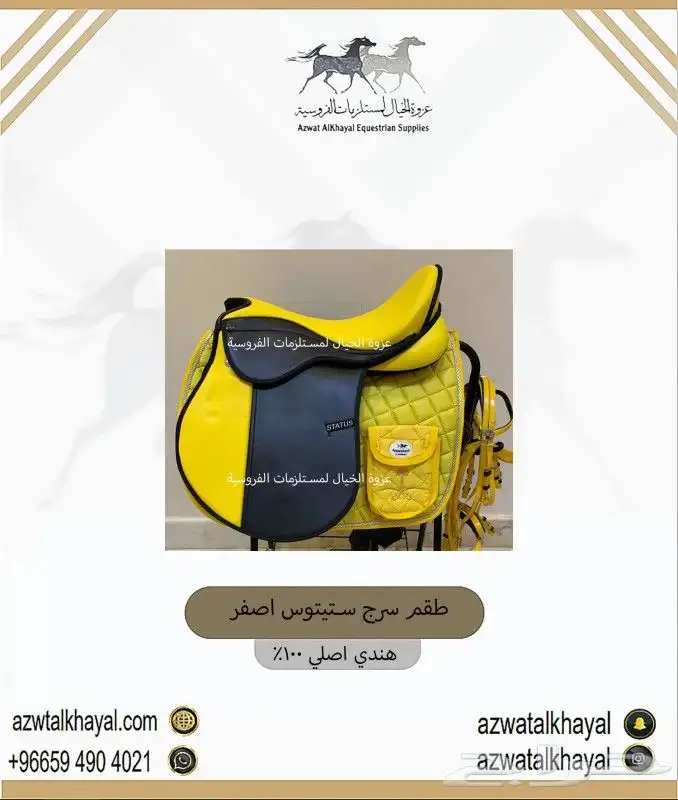 سرج ستيتوس الاصلي يوجد لدينا اقساط 0