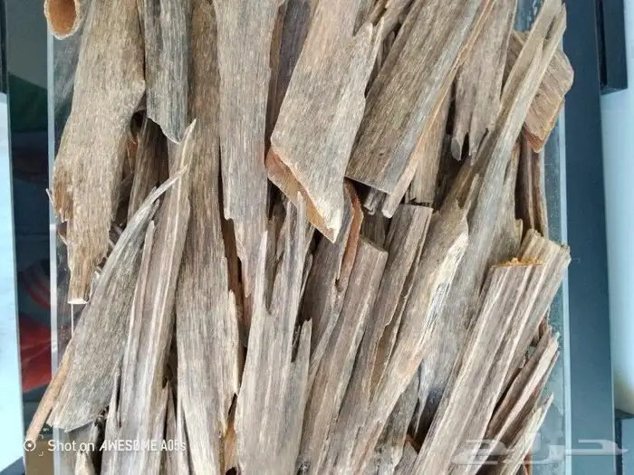 عود هندي 0