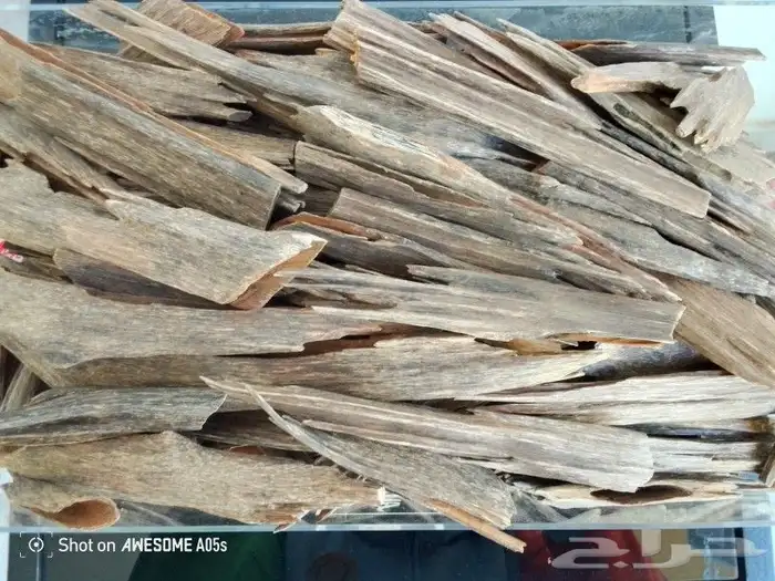 عود هندي 1