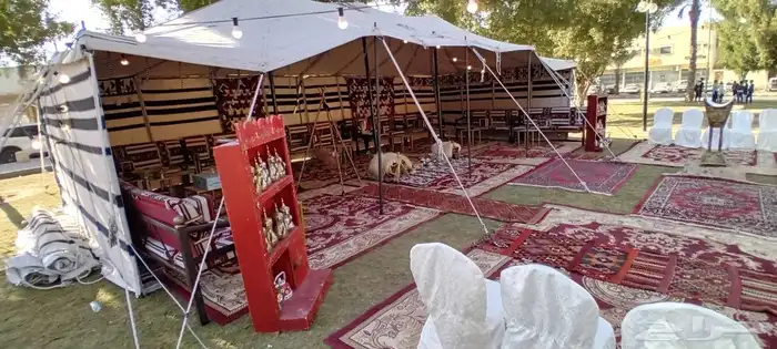 تاجير خيام تاجير بيوت شعر تاجير دفايات غاز تاجير بيوت شعر 3