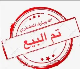 حمام جوز دنش اصفر 0