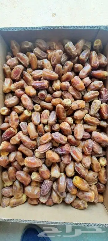 السلام عليكم ورحمه الله وبركاته يتوفر 100طن صقعي مفروز 11ري 1
