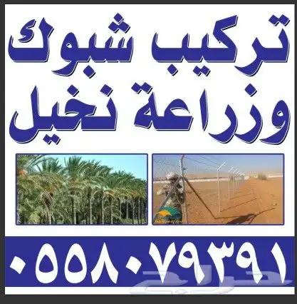 تركيب شبوك وزراعة النخيل 0