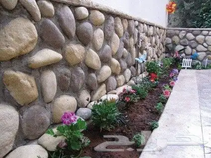 شبوك مزارع ونخل 4