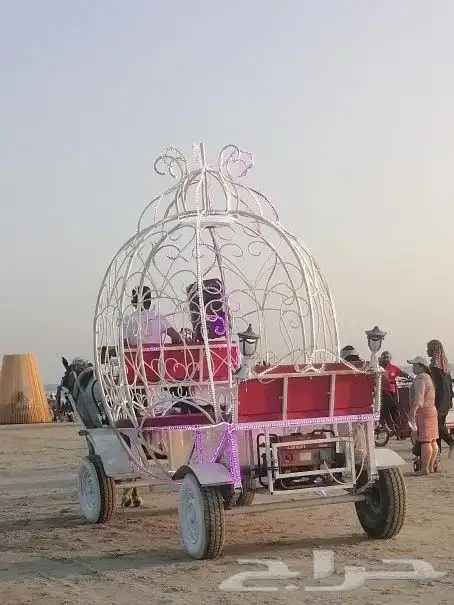 تأجير خيول وجمال وسياسي وعربة حنطو لجميع المناسبات والحفلات 7