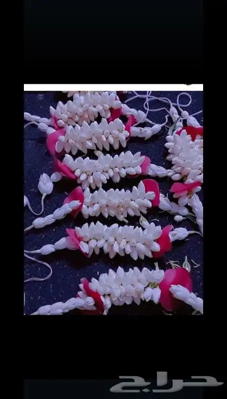 فل زهور الرياض 0