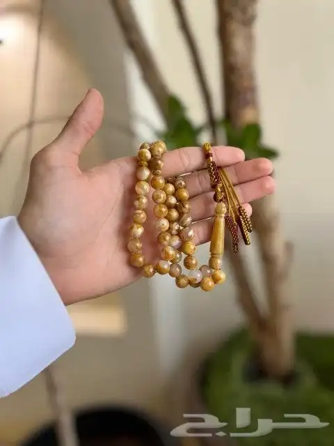 متجر مفنود للسبح 37