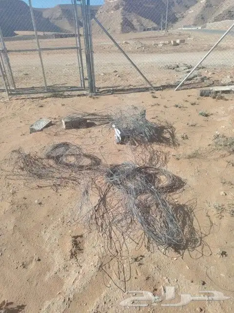 شبك وعمدان 218 متر 3