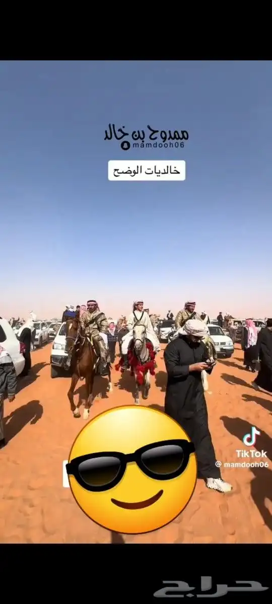 تأجير خيول وجمال وسياسي وعربة حنطو لجميع المناسبات والحفلات 5