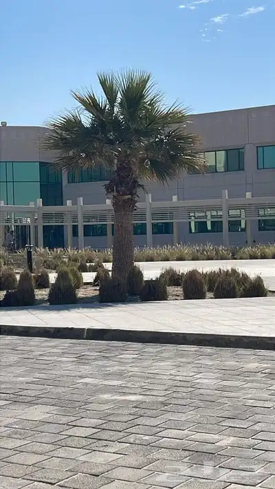 ابويوسف 2