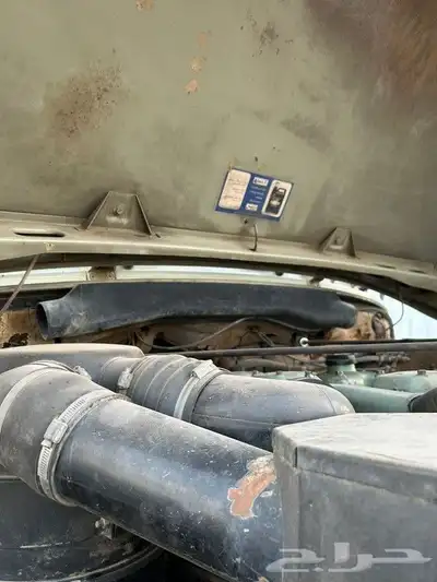 عايدي 86 اساسي 12
