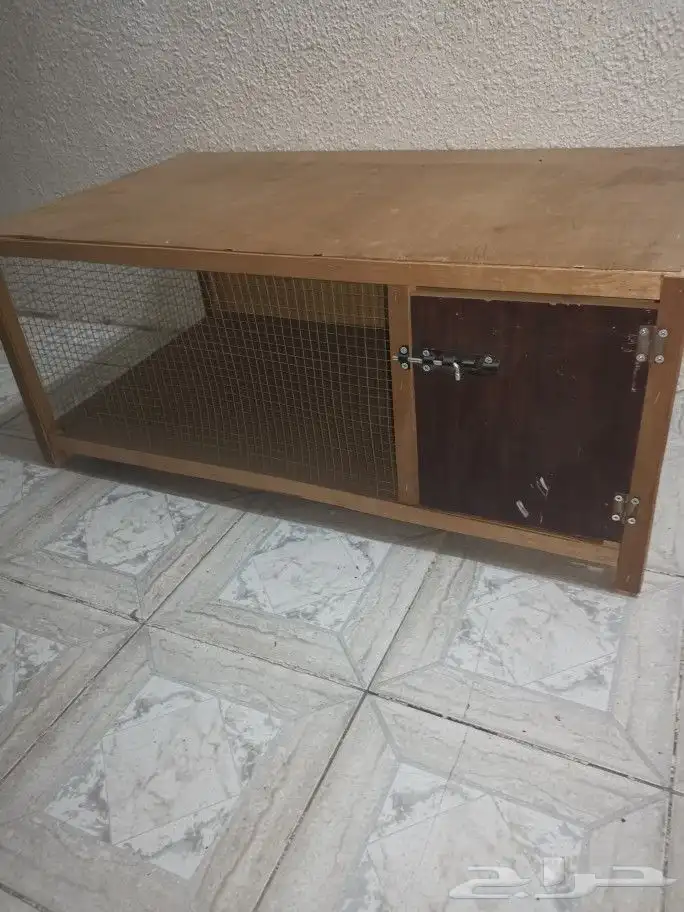 حظانة صوص. حمام. دجاج 0