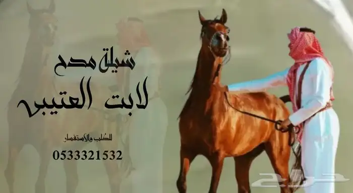 منشد شيلات شاعر جزل 0
