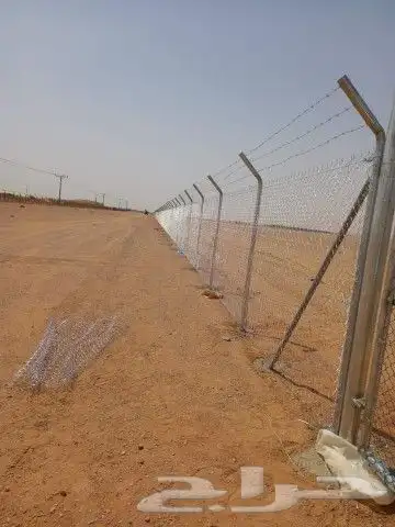 مقول شبوك بأقل الاسعار 1
