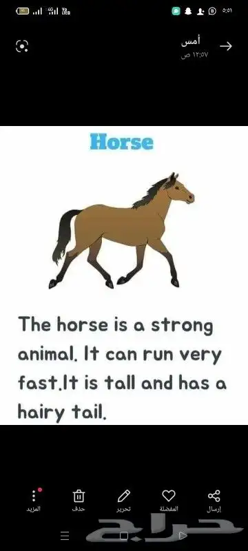 معلمة  مدرسة  خصوصيه  مصرية 1