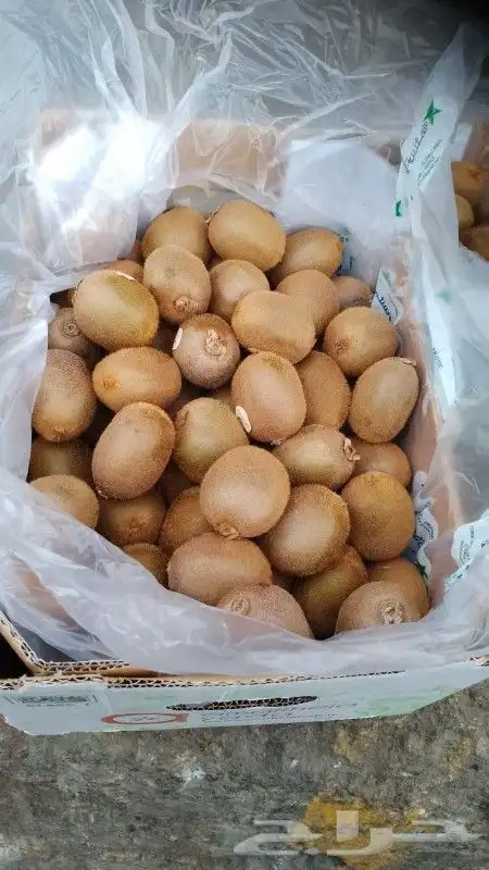 تصدير جميع الخضروات والفواكه الي دول الخليج 0